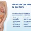 VIANESSE BODY SHAPE - Vanille – Bild 10