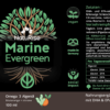 Marine Evergreen - Omega 3 Algenöl (100ml) – Bild 2